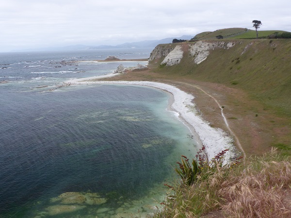 Limestone cliffs and New Zealand fur seal colongy at Kaikorua Peninsula, Nov 2015